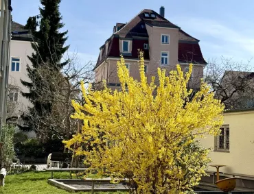 Big Z12 Foto Umbau Hof20und20 Garten 00013